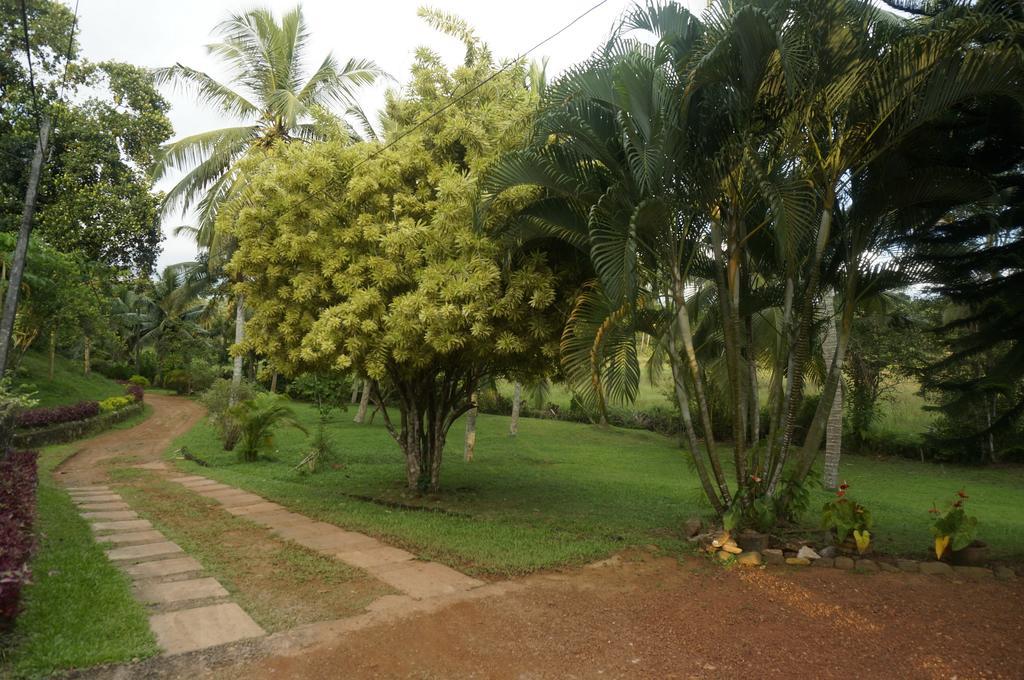 Greengarden Bungalow Aluthgama Exterior photo